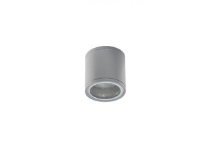 Kattovalaisin Azzardo Joe Tube Bright Grey AZ3316 hinta ja tiedot | Kattovalaisimet | hobbyhall.fi