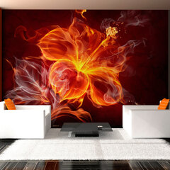 Valokuvatapetti - Fiery flower 400x309 cm hinta ja tiedot | Valokuvatapetit | hobbyhall.fi