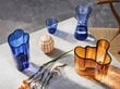 Iittala Kartio lasit, 2 kpl hinta ja tiedot | Lasit, mukit ja kannut | hobbyhall.fi