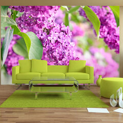 Valokuvatapetti - Lilac flowers 200x140 cm hinta ja tiedot | Valokuvatapetit | hobbyhall.fi