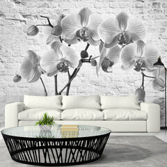 Valokuvatapetti - Orchid in Shades of Gray 400x280 cm hinta ja tiedot | Valokuvatapetit | hobbyhall.fi