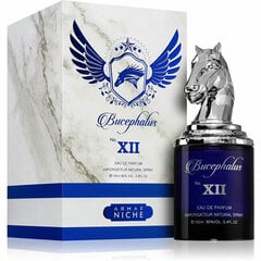 Armaf Bucephalus XII Blue EDP miehille, 100 ml hinta ja tiedot | Miesten hajuvedet | hobbyhall.fi