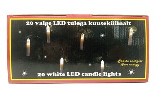 Kuusikynttilät, 20 LEDiä, etäisyys 40cm, lämmin valkoinen, virtalähde hinta ja tiedot | Jouluvalot | hobbyhall.fi