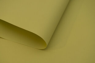 Kaksirivinen reunuslista, PVC-kisko kiinnikkeillä, 200 cm hinta ja tiedot | Rullaverhot | hobbyhall.fi