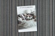 Rugsx matto Carnaby 80x300 cm hinta ja tiedot | Isot matot | hobbyhall.fi