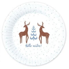 Kertakäyttöiset paperilautaset, Hello Winter, 18 cm, 6 kpl hinta ja tiedot | Tarjoiluastiat ja aterimet juhliin | hobbyhall.fi