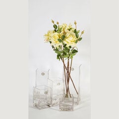 Maljakko IN HOME 13x13xH30cm, läpinäkyvä lasi hinta ja tiedot | Home4You Piha ja puutarha | hobbyhall.fi