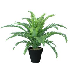 Tekokasvi BOSTON FERN, H45cm, saniainen, musta ruukku hinta ja tiedot | Keinotekoiset kukat | hobbyhall.fi