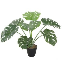 Tekokasvi MONSTERA, H60cm, musta ruukku hinta ja tiedot | Keinotekoiset kukat | hobbyhall.fi