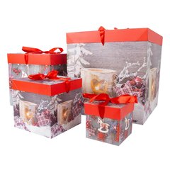 Lahjarasia XMAS GIFT-4, 30x30x30cm, sekoitus hinta ja tiedot | Lahjapaketointi | hobbyhall.fi