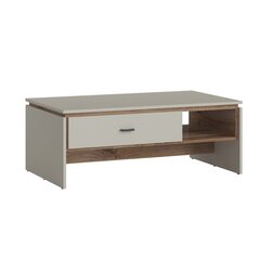 Sohvapöytä RIVERO 110x64xH43cm, tammi/harmaa hinta ja tiedot | Sohvapöydät | hobbyhall.fi