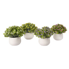 Viherkasvi IN GARDEN, H15cm, sekoitus, beige ruukku hinta ja tiedot | Keinotekoiset kukat | hobbyhall.fi