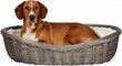 Pajukori Trixie koiralle, 80 cm, harmaa hinta ja tiedot | Koiran matkatarvikkeet | hobbyhall.fi