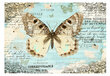 Valokuvatapetti - Postcard with butterfly 250x175 cm hinta ja tiedot | Valokuvatapetit | hobbyhall.fi