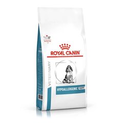 Royal Canin Hypoallergenic nuorille pennuille, 3,5 kg hinta ja tiedot | Koiran kuivaruoka | hobbyhall.fi