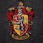 Rarewaves Harry Potter Gryffindor hinta ja tiedot | Pelien oheistuotteet | hobbyhall.fi