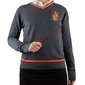 Rarewaves Harry Potter Gryffindor hinta ja tiedot | Pelien oheistuotteet | hobbyhall.fi