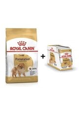 Royal Canin Pomeranian Adult 3 kg + Pomeranian Adult kääpiöpystykorvakoirille, 12x85g hinta ja tiedot | Koiran kuivaruoka | hobbyhall.fi