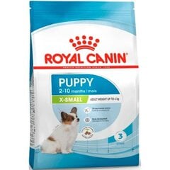 Royal Canin X-Small pienten rotujen nuorille pennuille, 3 kg hinta ja tiedot | Koiran kuivaruoka | hobbyhall.fi