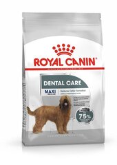 Royal Canin Maxi Dental Care aikuisille isokokoisille koirille, 9 kg hinta ja tiedot | Koiran kuivaruoka | hobbyhall.fi