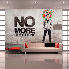 Valokuvatapetti - No more questions 300x210 cm hinta ja tiedot | Valokuvatapetit | hobbyhall.fi