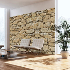 Valokuvatapetti - Stone wall 100x70 cm hinta ja tiedot | Valokuvatapetit | hobbyhall.fi