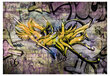 Valokuvatapetti - Stunning graffiti 300x210 cm hinta ja tiedot | Valokuvatapetit | hobbyhall.fi