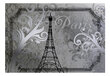 Valokuvatapetti - Vintage Paris - silver 150x105 cm hinta ja tiedot | Valokuvatapetit | hobbyhall.fi