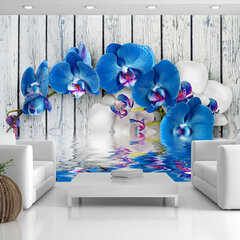 Valokuvatapetti - Cobaltic orchid 100x70 cm hinta ja tiedot | Valokuvatapetit | hobbyhall.fi