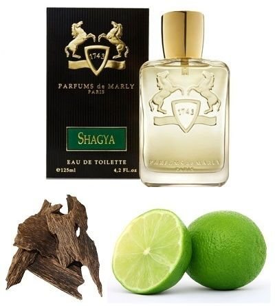 Eau de parfum Parfums de Marly Shagya EDP miehille 125 ml hinta ja tiedot | Miesten hajuvedet | hobbyhall.fi