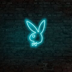 Seinävalaisin Playboy hinta ja tiedot | Seinävalaisimet | hobbyhall.fi