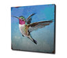 Kuva Hummingbird hinta ja tiedot | Taulut | hobbyhall.fi