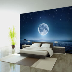 Valokuvatapetti - Moonlit night 300x210 cm hinta ja tiedot | Artgeist Kodin remontointi | hobbyhall.fi