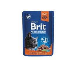 Kissanruoka Brit Premium Pouch sterilisoiduille/kastroiduille kissoille, lohi, 24x100 g hinta ja tiedot | Kissanruoka | hobbyhall.fi