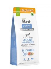 Brit Care Adult aikuisille isokokoisille koirille kanojen ja hyönteisten kanssa, 12+2 kg hinta ja tiedot | Koiran kuivaruoka | hobbyhall.fi