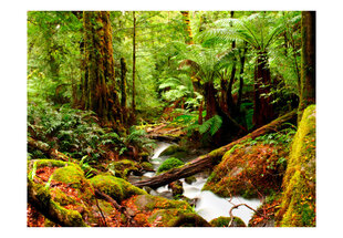 Valokuvatapetti - Rainforest 450x270 cm hinta ja tiedot | Valokuvatapetit | hobbyhall.fi