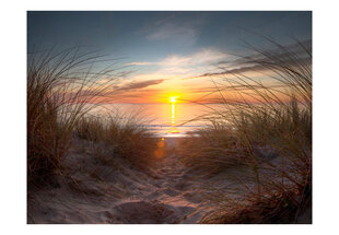 Valokuvatapetti - Sunset yli Atlantin valtameren 300x231 cm hinta ja tiedot | Valokuvatapetit | hobbyhall.fi