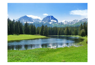 Valokuvatapetti - National Park Durmitor, Montenegro 400x309 cm hinta ja tiedot | Valokuvatapetit | hobbyhall.fi