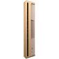 Bang & Olufsen Beosound Level Gold Tone hinta ja tiedot | Kaiuttimet | hobbyhall.fi