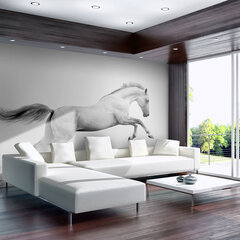 Valokuvatapetti - White gallop 400x309 cm hinta ja tiedot | Valokuvatapetit | hobbyhall.fi