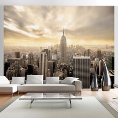 Valokuvatapetti - New York - Manhattan aamunkoitteessa 450x270 cm hinta ja tiedot | Valokuvatapetit | hobbyhall.fi