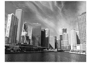 Valokuvatapetti - Chicago Skyline (musta ja valkoinen) 400x309 cm hinta ja tiedot | Valokuvatapetit | hobbyhall.fi