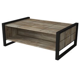 Sohvapöytä Kalune Design Lost, ruskea/musta hinta ja tiedot | Sohvapöydät | hobbyhall.fi