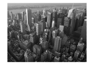 Valokuvatapetti - New York: skyscrapers (bird's eye view) 400x309 cm hinta ja tiedot | Valokuvatapetit | hobbyhall.fi