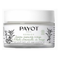 Kiinteyttävä kasvovoide Payot Herbier Baume Jeunesse Visage, 50 ml hinta ja tiedot | Kasvovoiteet | hobbyhall.fi