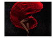 Valokuvatapetti - Flamenco tanssija 400x309 cm hinta ja tiedot | Valokuvatapetit | hobbyhall.fi