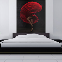 Valokuvatapetti - Flamenco tanssija 400x309 cm hinta ja tiedot | Valokuvatapetit | hobbyhall.fi