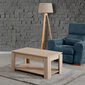 Sohvapöytä Shelf, ruskea hinta ja tiedot | Sohvapöydät | hobbyhall.fi