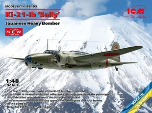 Liimattava malli ICM 48195 Japanese Heavy Bomber Ki-21-Ib Sally 1/48 hinta ja tiedot | Koottavat pienoismallit | hobbyhall.fi
