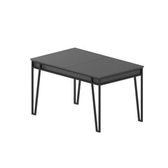 Taittopöytä Kalune Design 855, harmaa hinta ja tiedot | Ruokapöydät | hobbyhall.fi